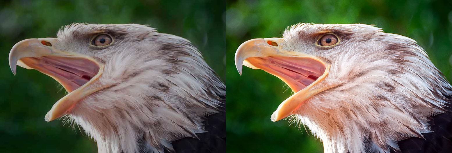 VIESUS enhancement: before and after