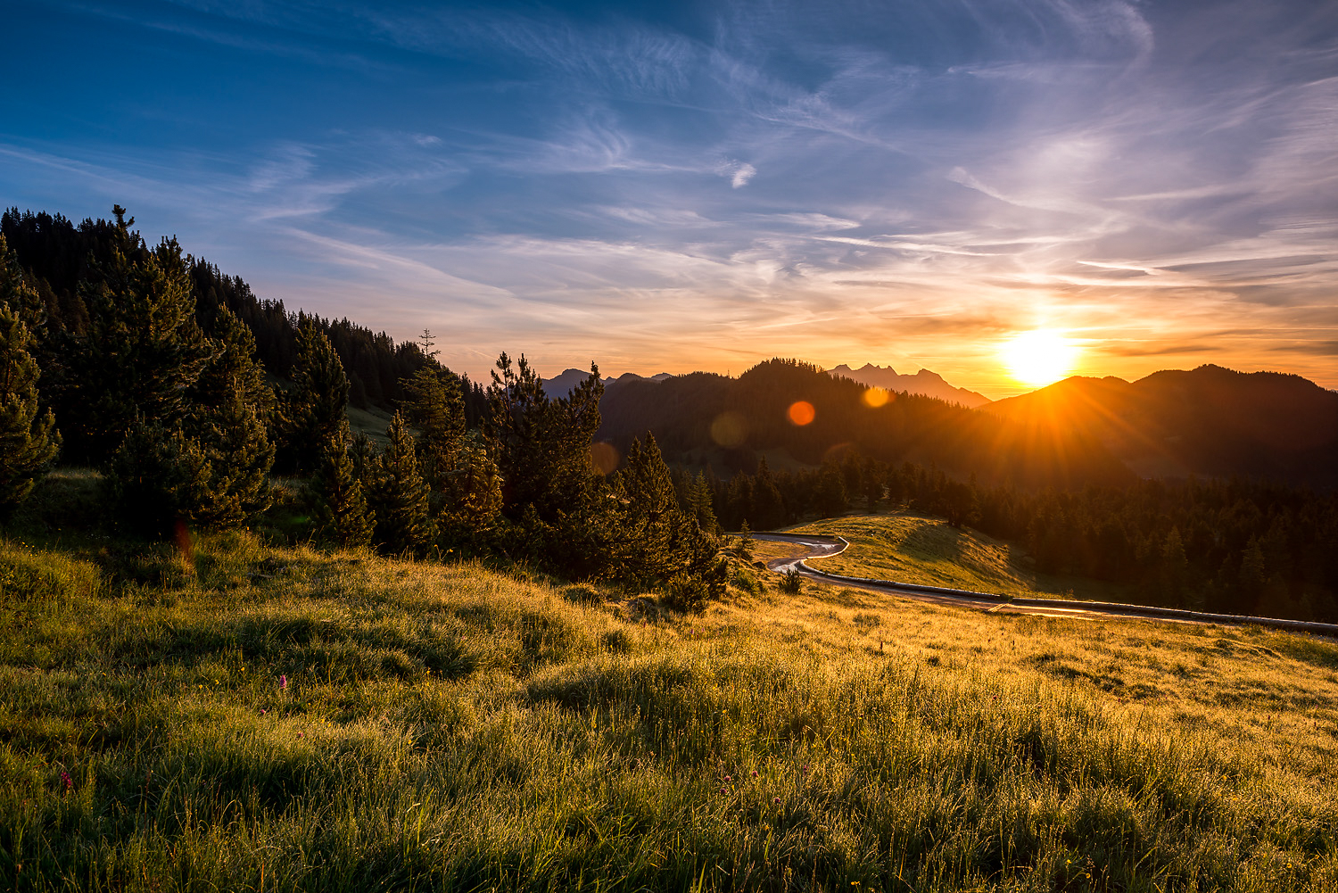 VIESUS tonemapped Mode 1 — HDR Support